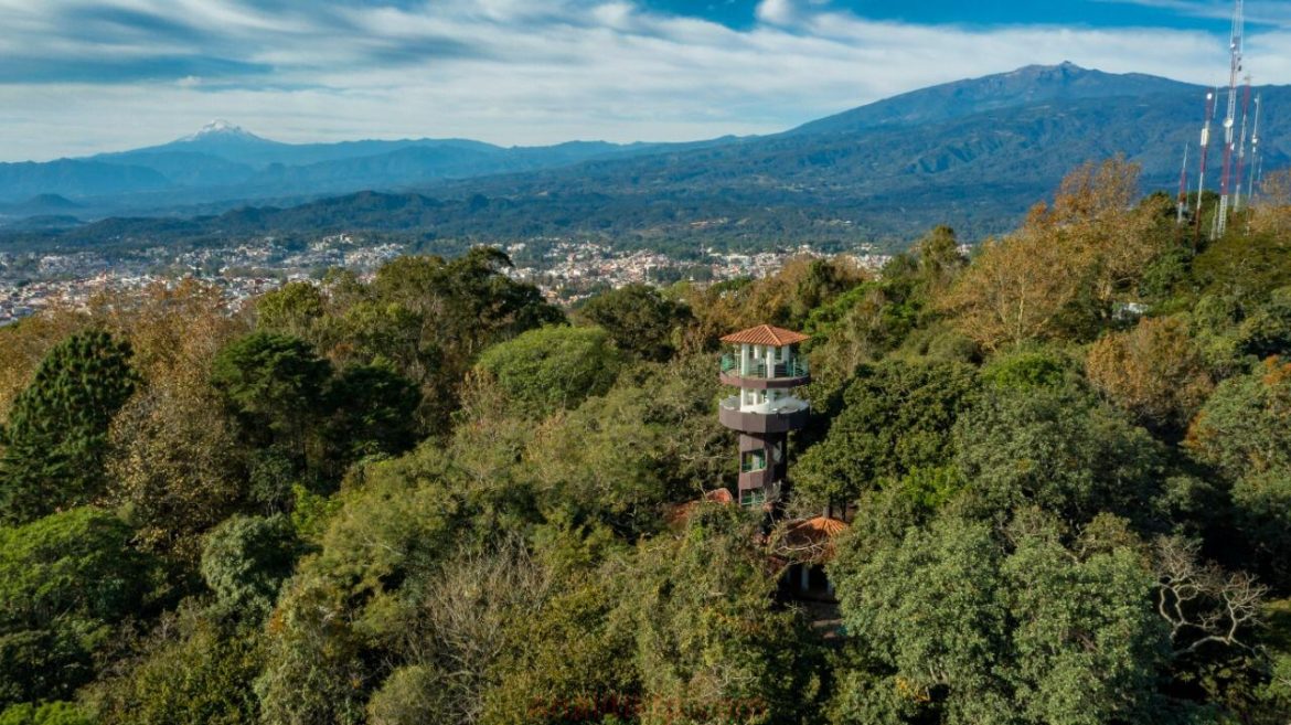 2FCAB0A0-19C0-4216-A370-3417AA6EBF3B