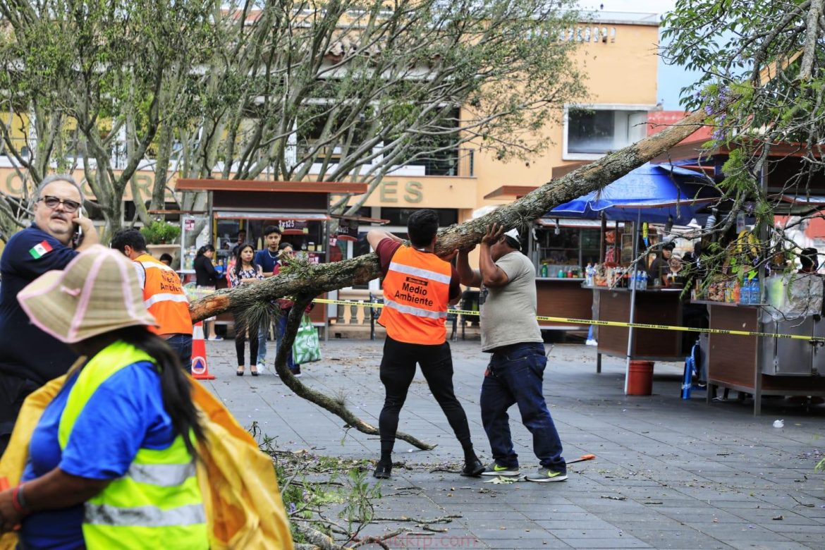 0CD3A5F9-25E9-44C4-B455-C39EA0E2EAB3